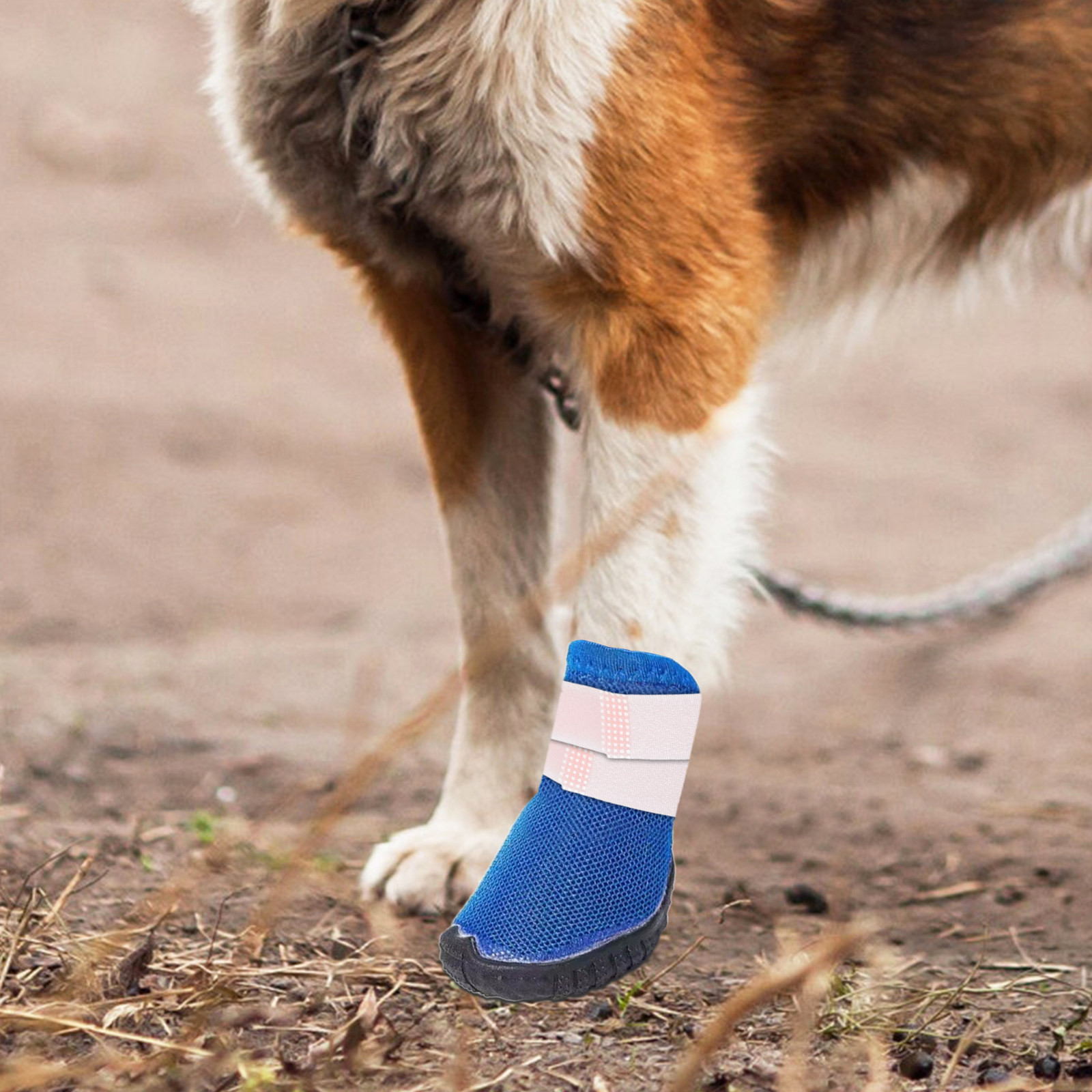 Dog Booties Paw Protector - 10 pièces de supports pour bottes