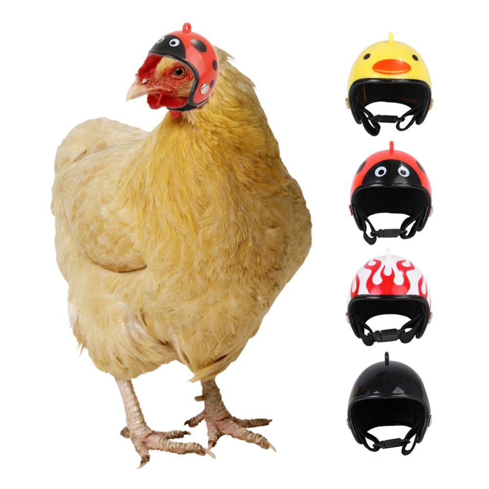 Pet X Supplies & Tack - Accessoires pour animaux de compagnie ABS