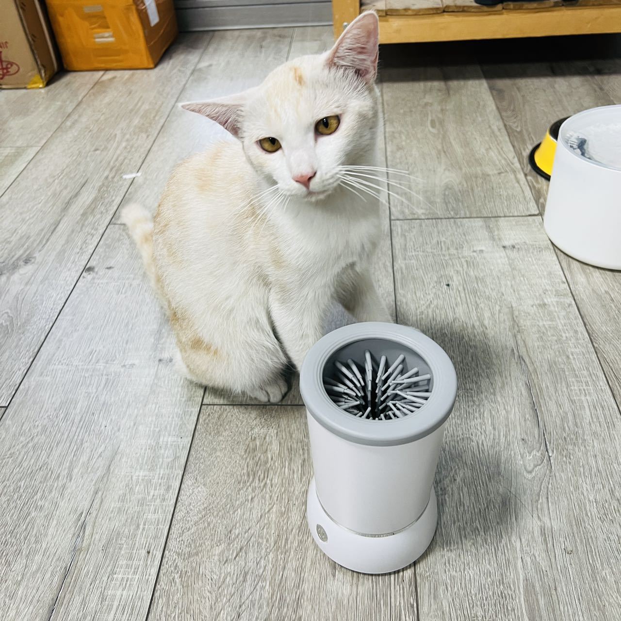 Dog Paw Cleaner - Tasse automatique de nettoyage de pattes