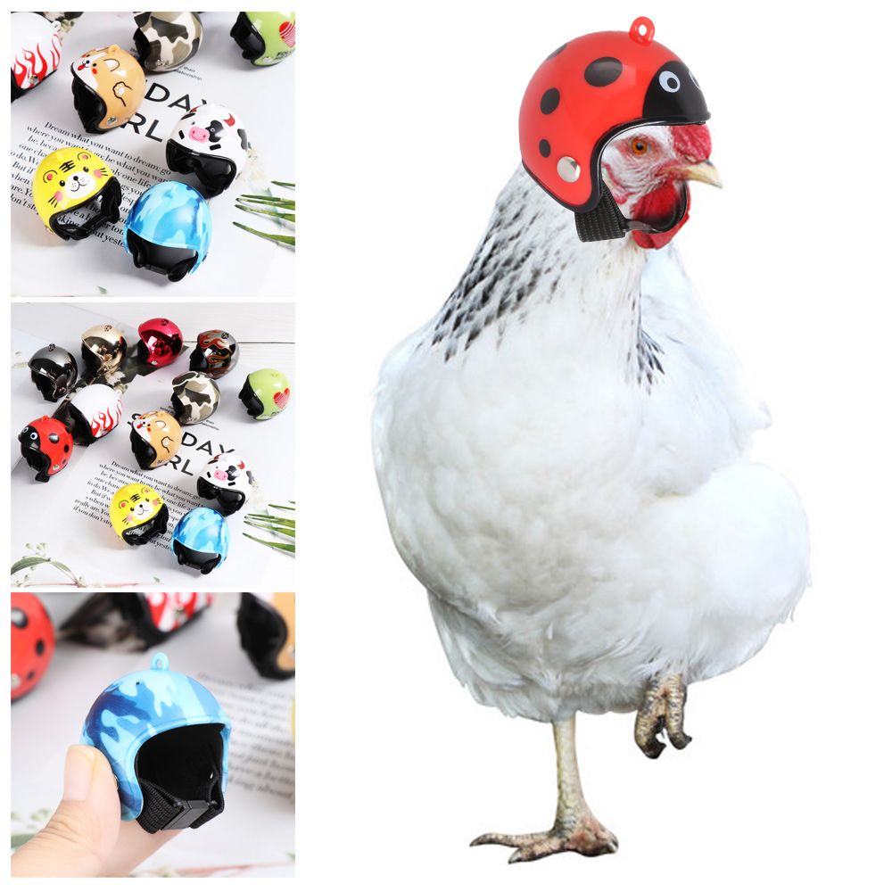 Pet X Supplies & Tack - Casque de protection amusant pour animaux