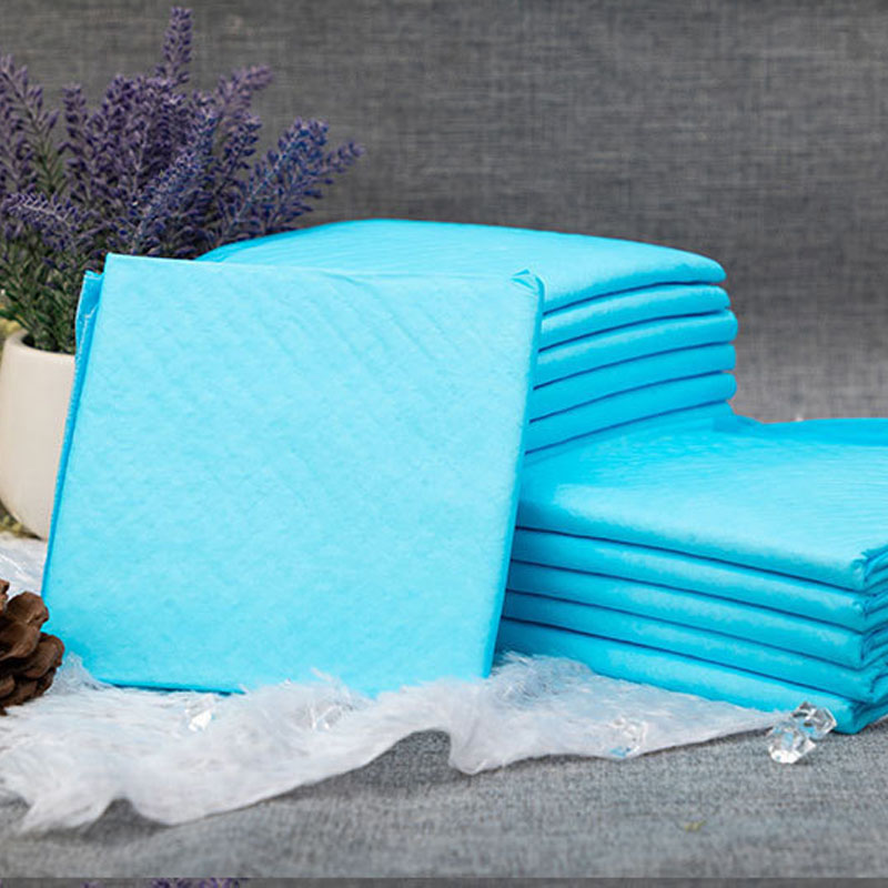 Pet X Supplies & Tack - Matelas à langer jetables pour animaux