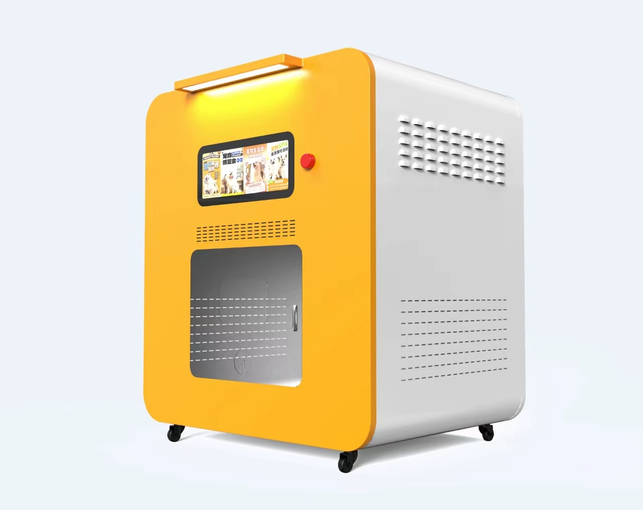 Pet Supplies Wash Station - Station de lavage pour chiens en