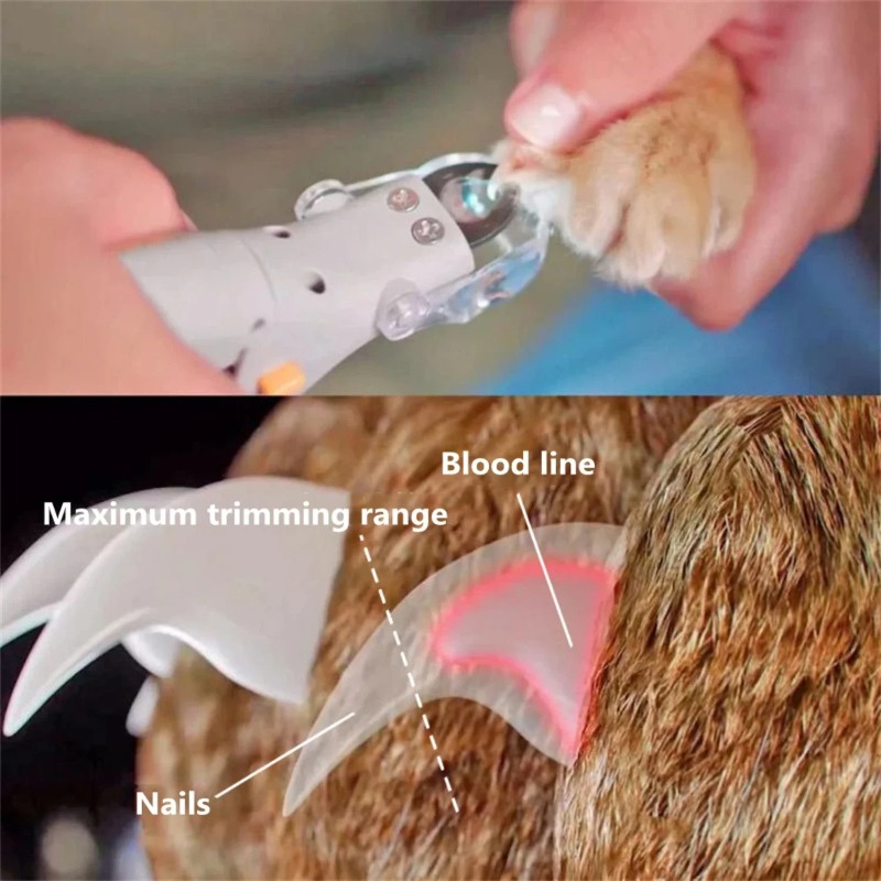 Coupe-ongles pour animaux de c - Dog Grooming Clippers avis et prix