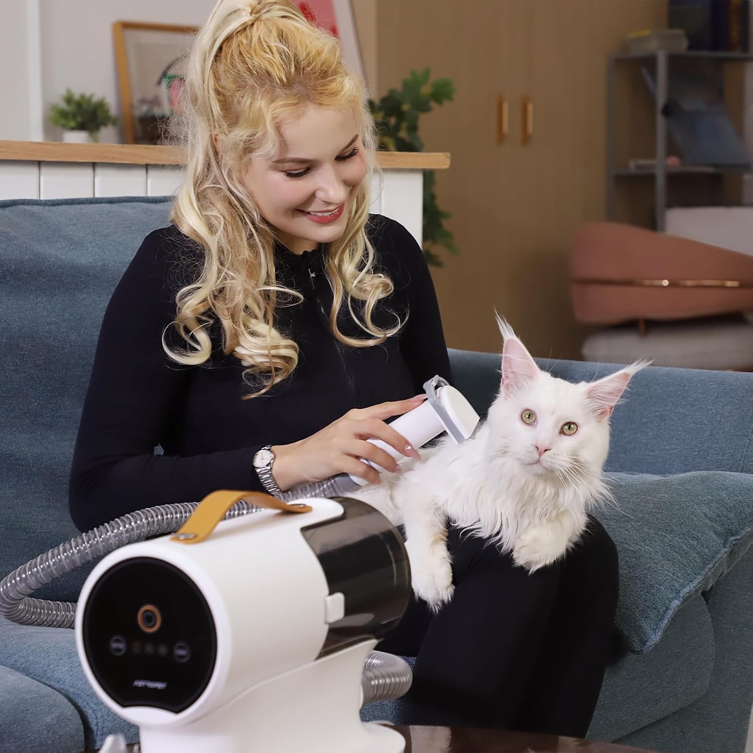 Aspirateur de toilettage pour  - Dog Grooming Clippers avis et prix