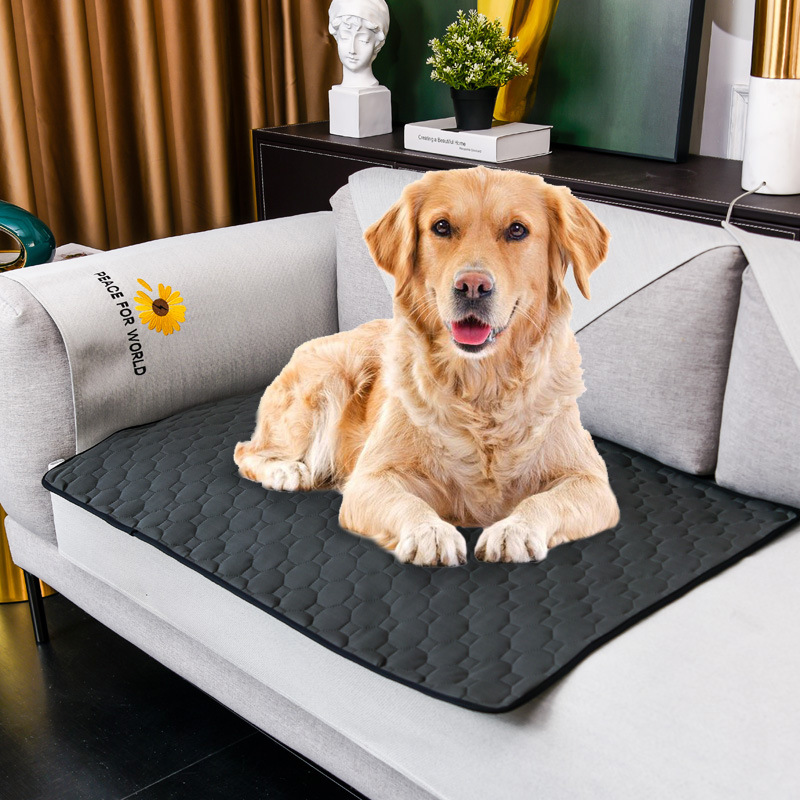 Tapis anti-urine pour chien la - Pet Supplies Dog Wash avis et prix