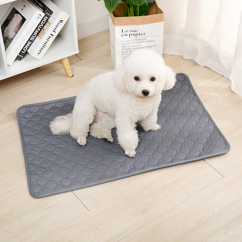 Couverture réutilisable pour c - Pet Supplies Dog Wash avis et prix