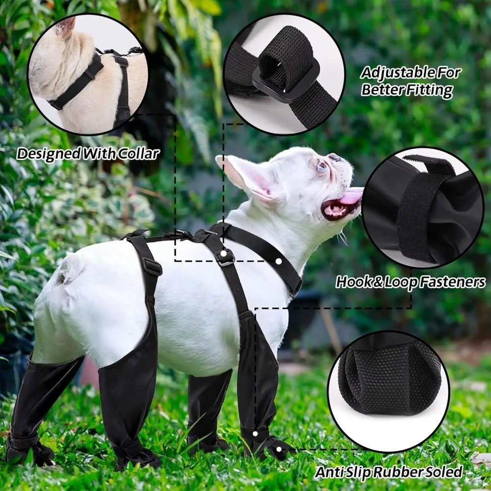 Chaussures imperméables anti-c - Dog Booties Paw Protector avis et prix