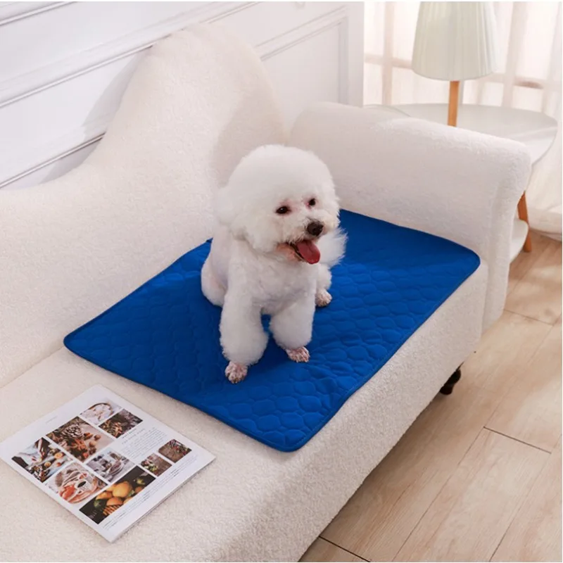 Couverture absorbante réutilis - Pet Supplies Dog Wash avis et prix