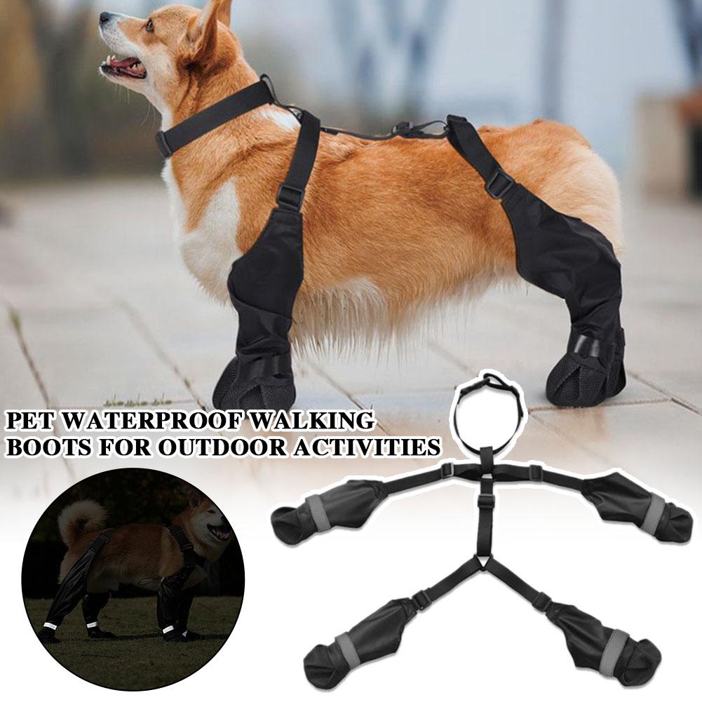 Bottes à bretelles pour chien, - Dog Booties Paw Protector avis et prix