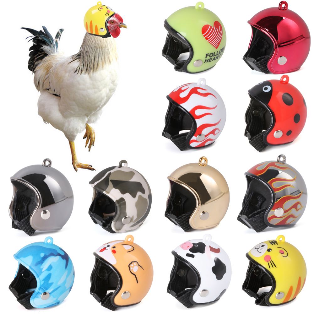 Accessoires pour animaux de co - Pet X Supplies & Tack avis et prix