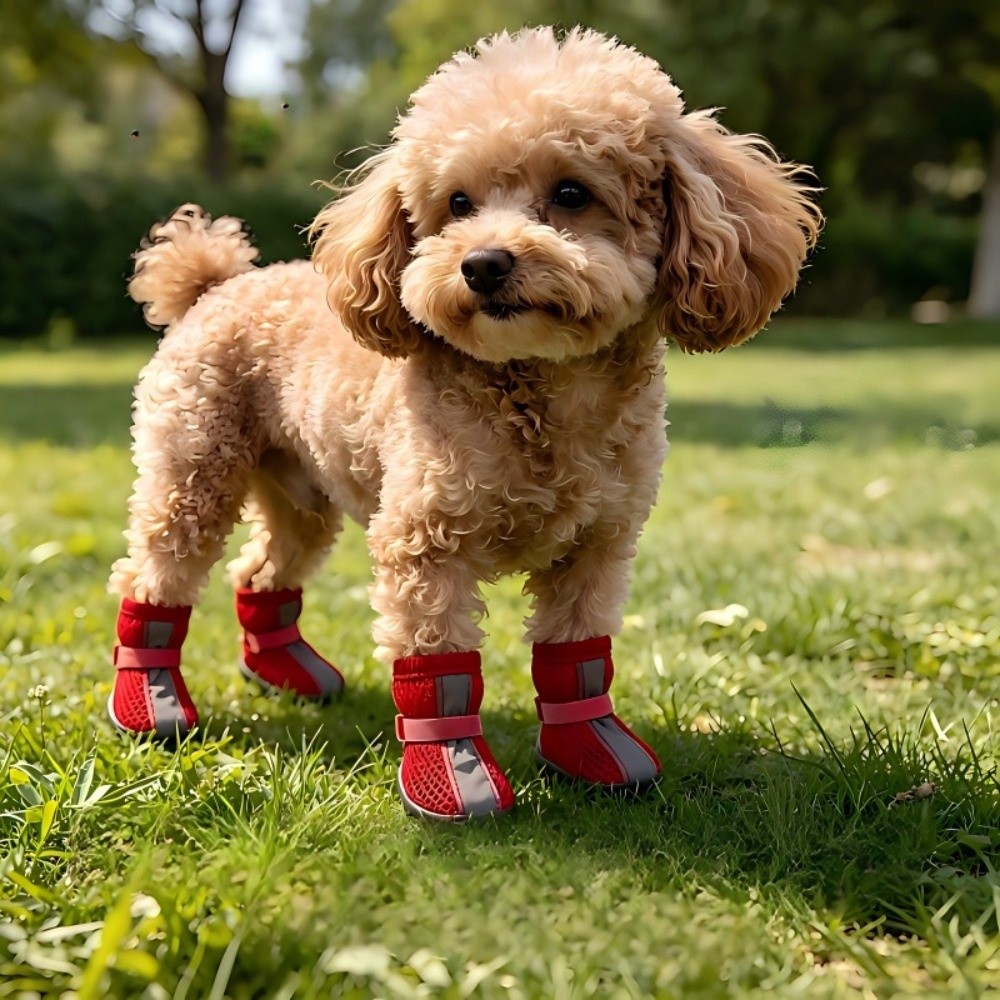 4 pièces/ensemble Chaussures p - Dog Booties Paw Protector avis et prix