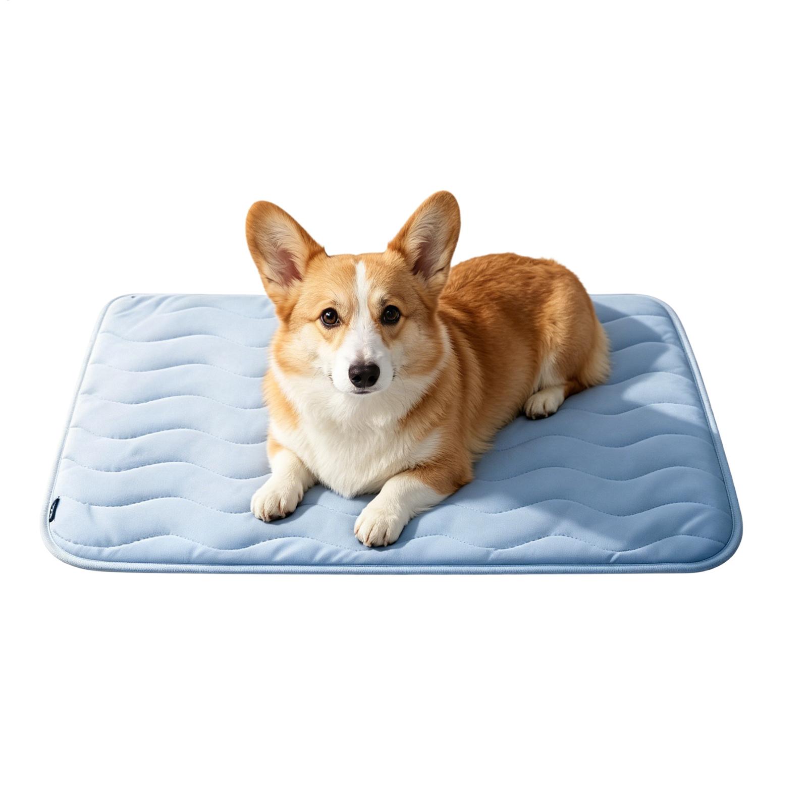 Tapis rafraîchissant pour chie - Pet Supplies Dog Wash avis et prix